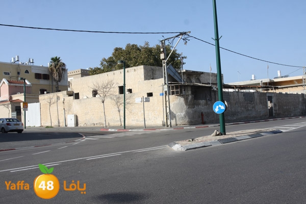 ard yefet 176 (1).JPG